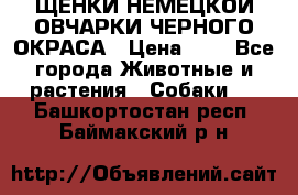 ЩЕНКИ НЕМЕЦКОЙ ОВЧАРКИ ЧЕРНОГО ОКРАСА › Цена ­ 1 - Все города Животные и растения » Собаки   . Башкортостан респ.,Баймакский р-н